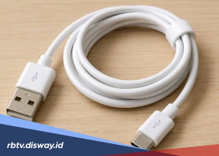 Awas Salah Beli, Ini 5 Tips Memilih Kabel Data yang Berkualitas 