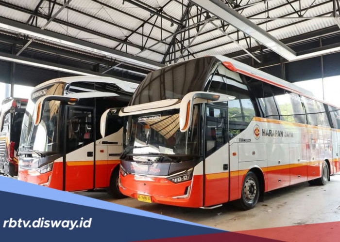 Segera Daftar! Bus Harapan Jaya Buka Lowongan Kerja, Ini Posisi dan Kualifikasinya