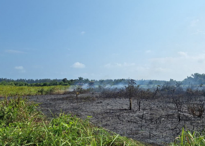 BPBD Mukomuko Ingatkan Potensi Karhutla, Ada 3 Kecamatan Rawan Kebakaran Lahan