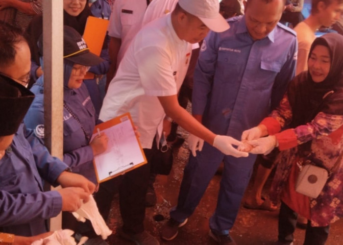 DKP Kota Bengkulu Uji Kualitas Ikan di Pasar Panorama, Pastikan Aman dari Formalin