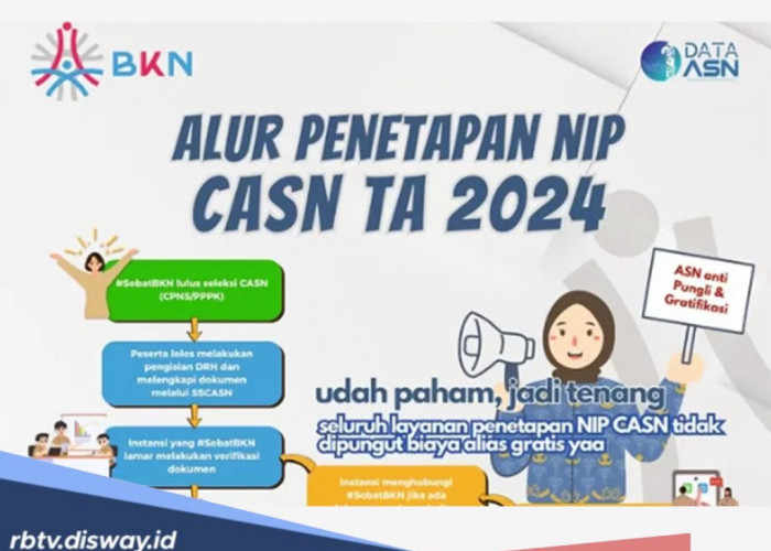 Info Terbaru Penetapan NIP CPNS dan NI PPPK, Ini Jadwal dan Cara Cek Status Pengusulan Langsung dari BKN