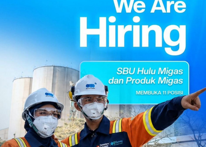 BUMN Sucofindo Buka Lowongan Kerja, Ini 11 Posisi yang Dibuka