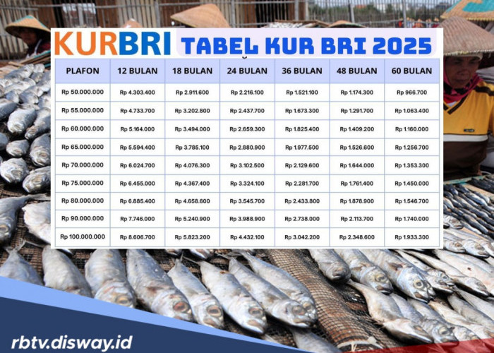 Tabel KUR BRI Hari Ini, Pinjaman Tanpa Jaminan, Angsuran hanya Rp 100 Ribu, Cek Segera