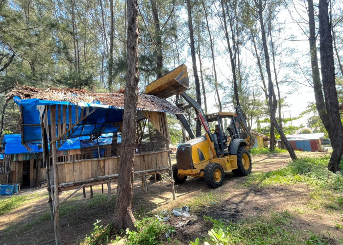 Pemkot Bengkulu Bongkar Pondok di Pantai Panjang, Siapkan Gazebo Gratis untuk Wisatawan