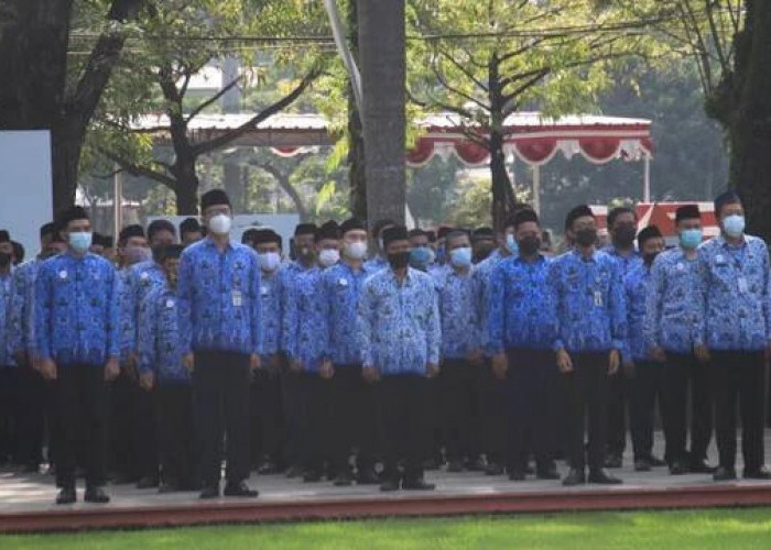 Jadwal Seleksi PPPK Kemenham 2026, Jangan Sampai Terlewat