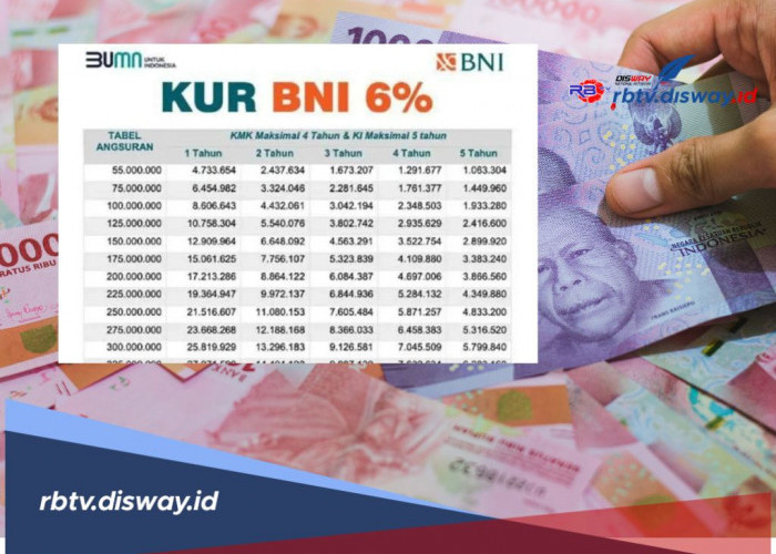 Simulasi Cicilan KUR BNI 2025 Rp 100 Juta, Solusi Bagi yang Butuh Modal