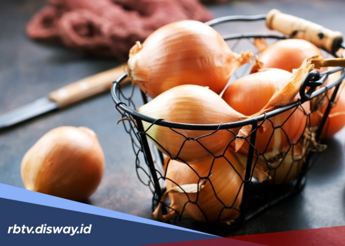 Catat! Ini Kandungan dan Manfaat Bawang Bombai untuk Kesehatan