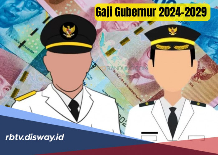 Gaji dan Tunjangan Gubernur DKI Jakarta, Segini Total Pemasukan Gubernur Sebulan