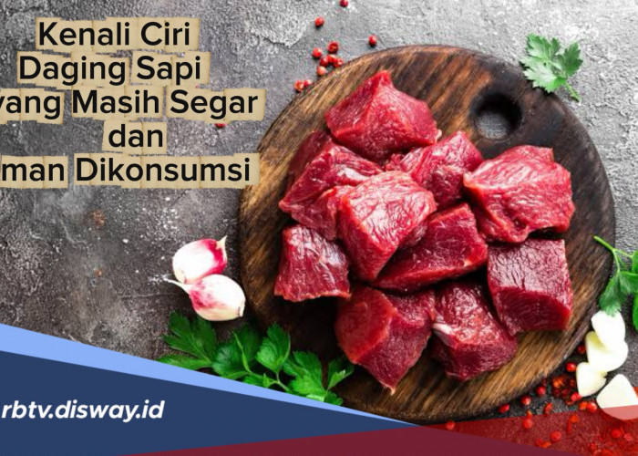Kenali 5 Ciri Daging Sapi yang Masih Segar dan Aman Dikonsumsi