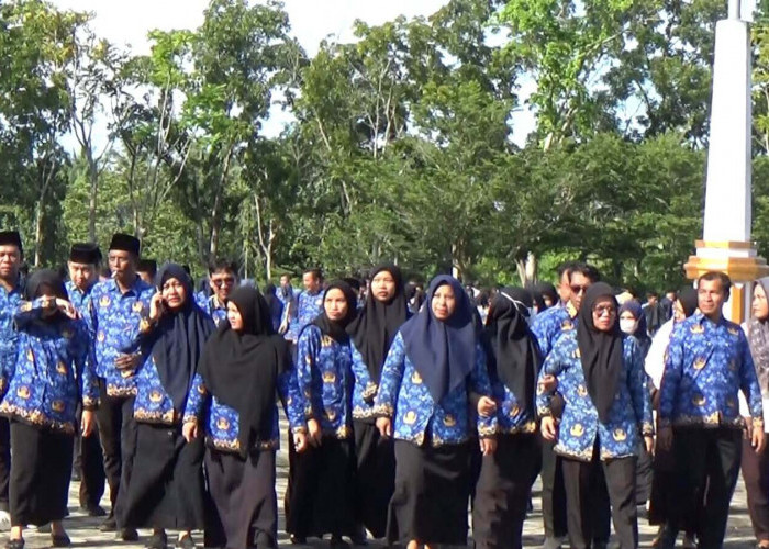 Jadwal Terbaru Pelantikan dan Penyerahan SK PPPK 2024 Tahap I kabupaten Mukomuko