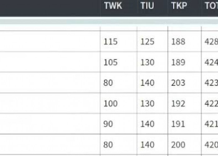 Intip Live Score Hasil Tes SKD CPNS 2024, Berikut 13 Tautan yang Bisa Diakses