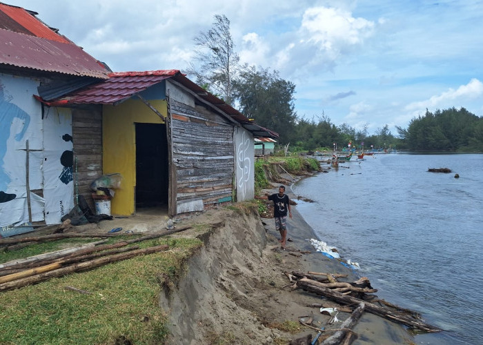 Abrasi Pantai Pekik Nyaring Mengancam Rumah Nelayan dan Rumah Penyu