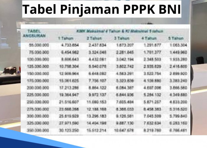Tabel Pinjaman PPPK BNI Rp 5-100 Juta, Tenor 5 Tahun, Cicilan Angsuran Mulai Rp113 Ribuan
