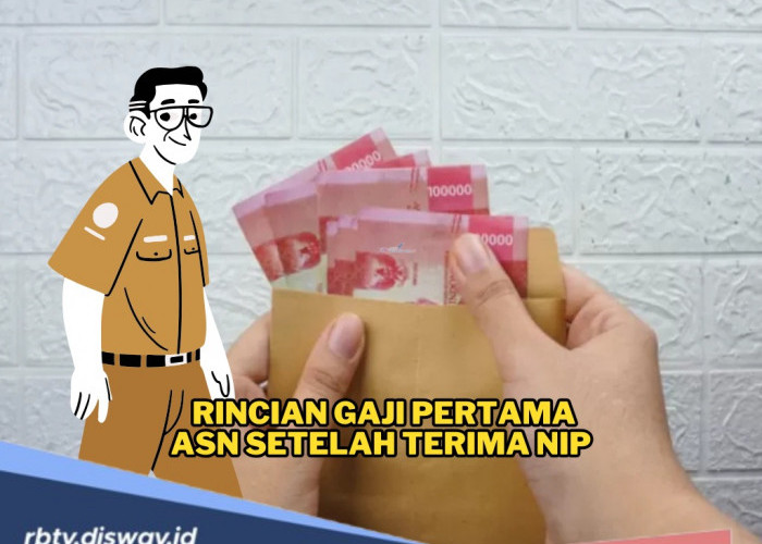Namamu Lolos CPNS 2024, Ini Rincian Gaji Pertama ASN yang Baru Terima NIP, Sudah Dicek?