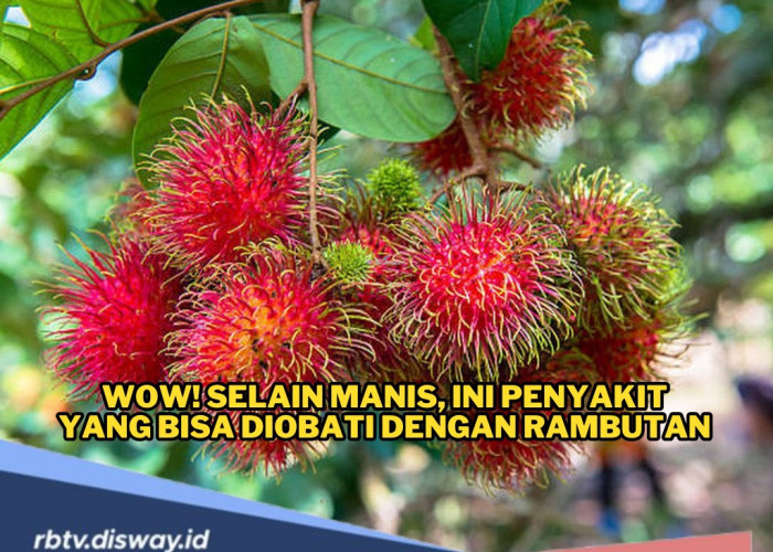 Si Manis Kaya Vitamin, Ini Penyakit yang Bisa Diobati dengan Rambutan