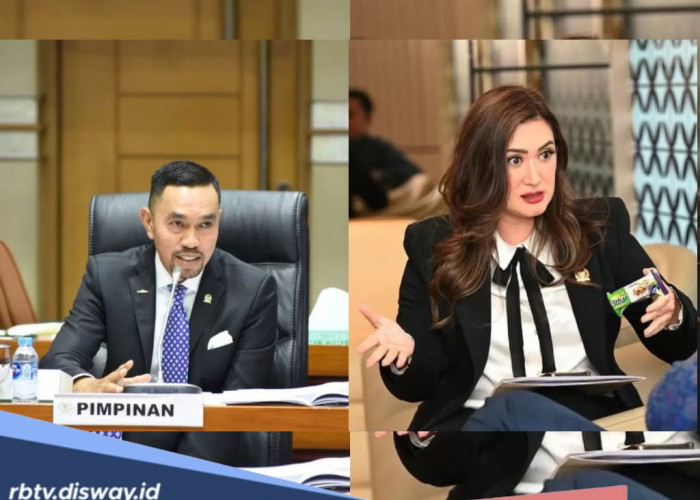 HotNews! NasDem Nonaktifkan Anggota DPR RI Ahmad Sahroni dan Nafa Urbach