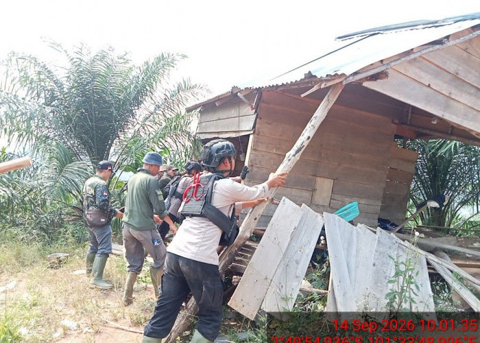 300 Ha Hutan yang Dirambah Kebun Sawit Terselamatkan, Ranjau dan Racun Gajah Dimusnahkan