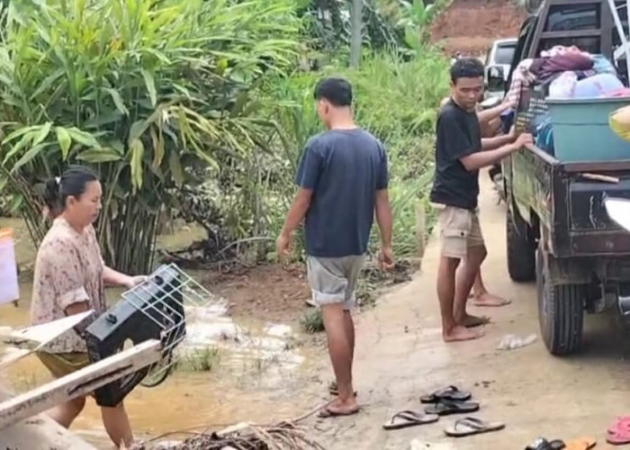 Anggota DPRD Provinsi Bengkulu Curhat ke Gubernur: Desa Pesisir Seluma Terkepung Banjir