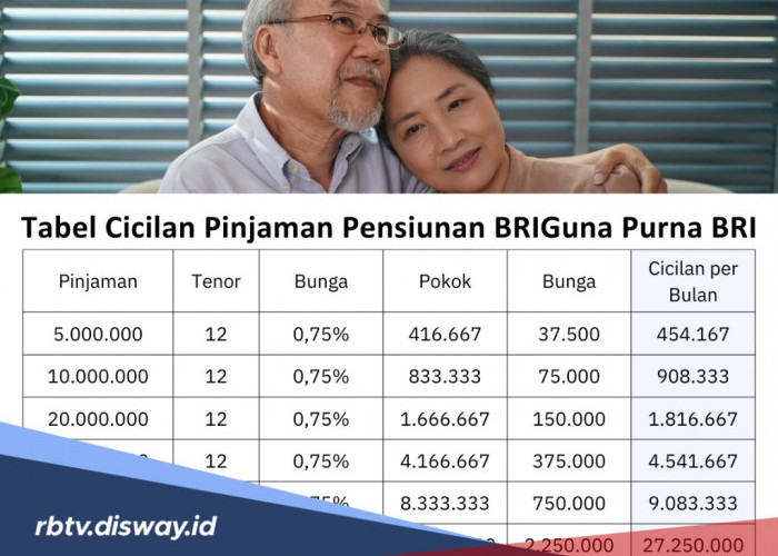 Syarat Pengajuan Pinjaman Pensiun BRIguna Purna Hingga Rp 500 Juta untuk Usia 75 Tahun