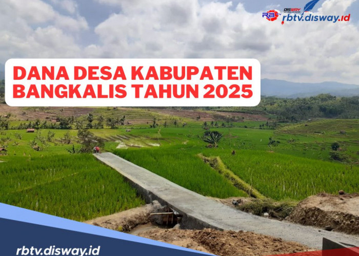 Dana Desa di Kabupaten Bengkalis Tahun 2025, Ini Rincian Pembagian Per Desanya