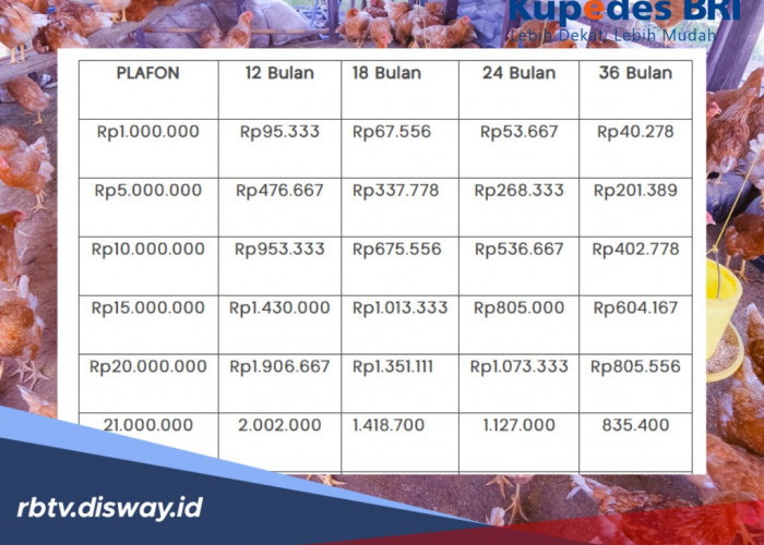Solusi Pinjaman KUR BRI Rp 250 Juta Tidak ACC, Segera Ajukan Kupedes BRI, Ini Syarat Lengkapnya
