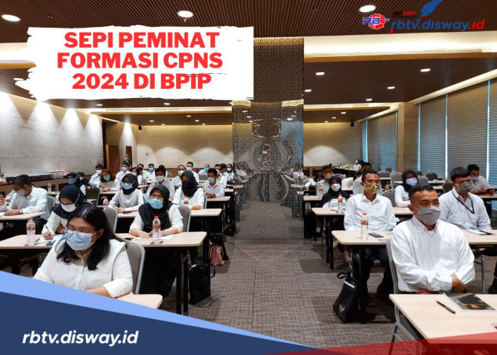 Sepi Peminat, Ini Formasi CPNS 2024 di Badan Pembinaan Ideologi Pancasila (BPIP)