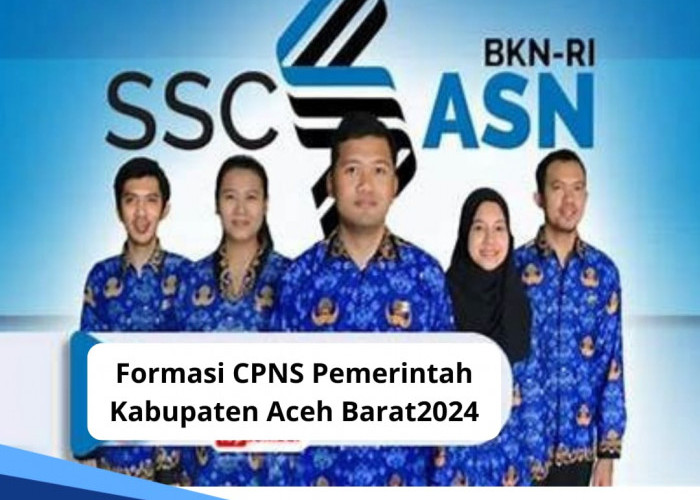 Ada 465 Formasi CPNS dan PPPK 2024 di Pemerintah Kabupaten Aceh Barat, Ini Dokumen Persyaratannya