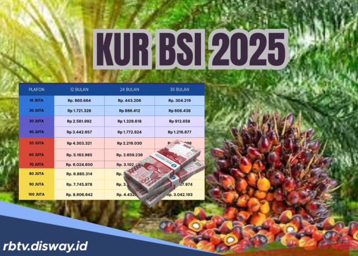 KUR BSI 2025 Rp1-10 Juta untuk Modal Usaha Anti Riba, Bisa Pinjam Rp 2 Juta dan Dicicil Selama 3 Tahun