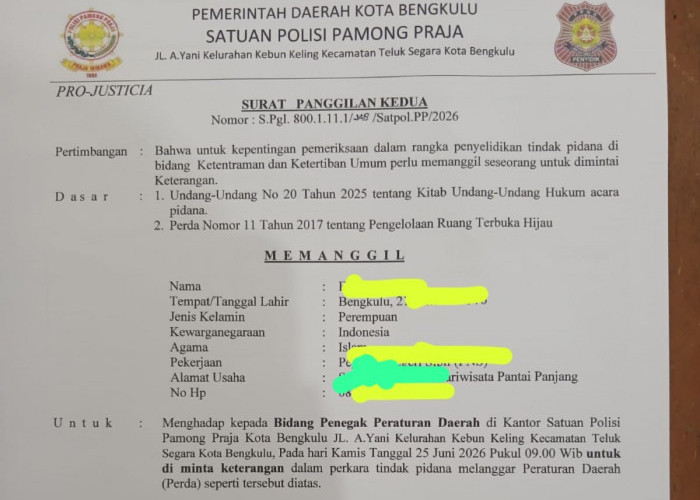 Oknum Penebang Pohon di Pantai Panjang Mangkir, Pj Sekda Instruksi Kirim Surat Kedua atau Jemput Paksa