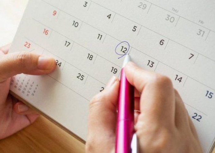 Kapan Rekrutmen CPNS Polhut di KLHK Dibuka? Ini Dia Bocoran Jadwalnya