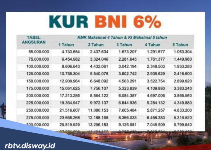 KUR BNI 2025 Pinjaman Rp 100 Juta Tanpa Jaminan, Terapkan Tips Ini agar Lolos Pengajuan