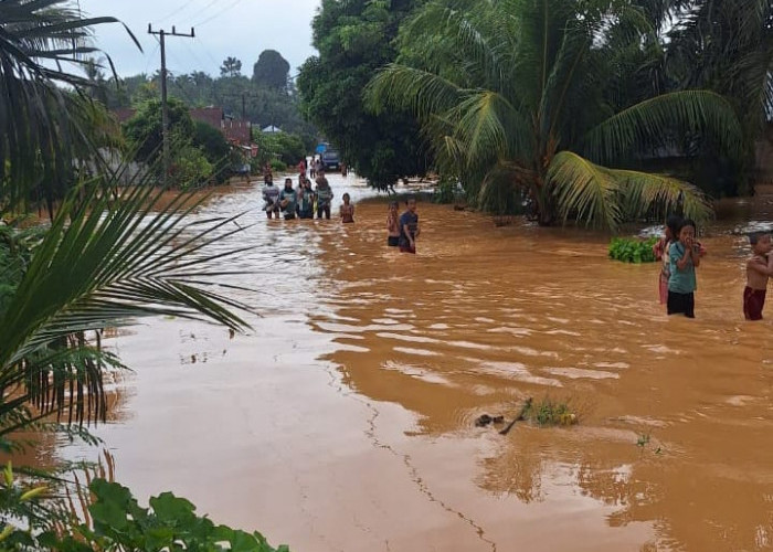 Akses Jalan Lumpuh Tertimbun Longsor, 6 Desa di Seluma Terendam Akibat Banjir