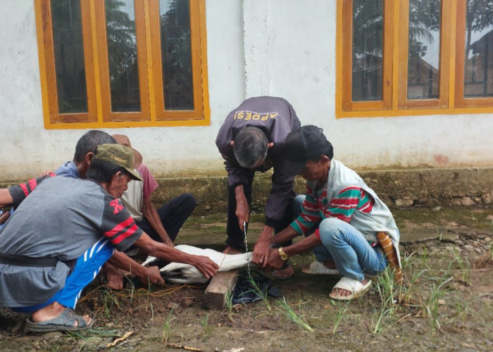 Pergoki Tetangga Lagi Beginian, Warga Talo Kecil Adakan Cuci Kampung 