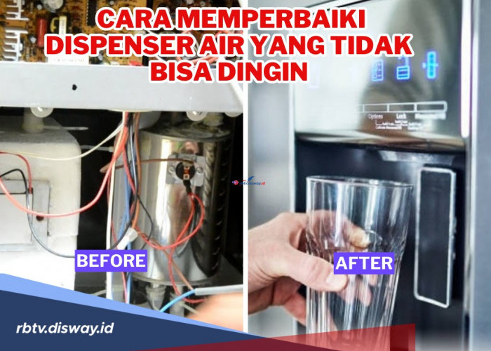 Mudah! Begini Cara Memperbaiki Dispenser Air yang Tidak Bisa Dingin, Bisa Dilakukan Sendiri di Rumah