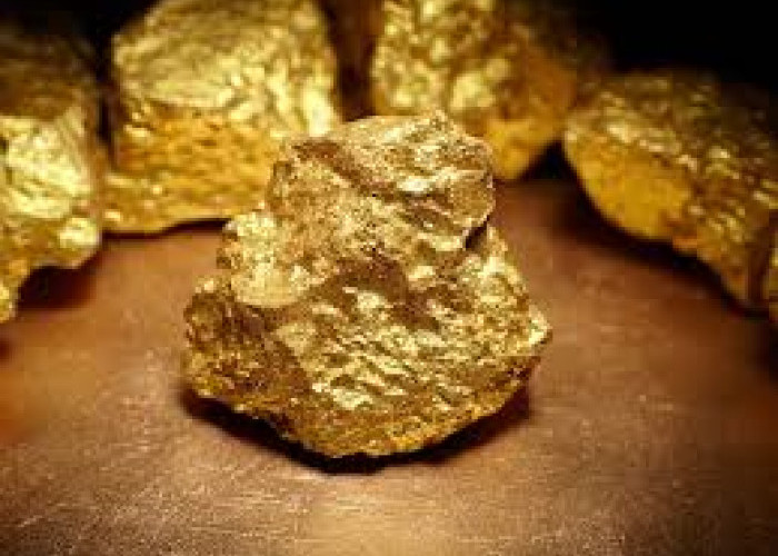 Please Come!!! In Lumajang City, East Java, Indonesia, There's Gold Still Buried Under the Ground