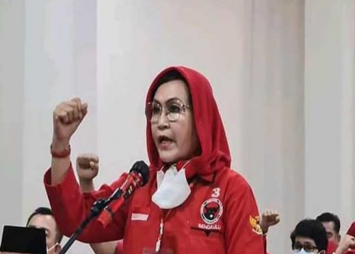Kokoh di PDI Perjuangan dan Langganan Anggota DPR RI, Berapa Harta Kekayaan Elva Hartati?