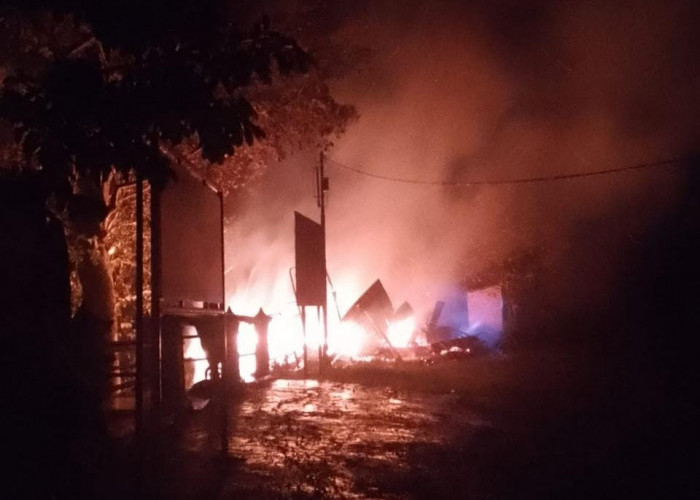 Taman Konservasi Bunga Rafflesia di Liku Sembilan Terbakar, Ada Dugaan Disengaja