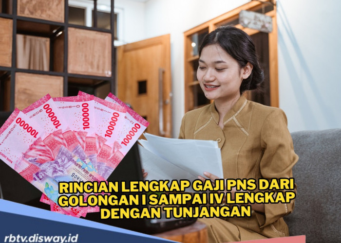 Bikin Penasaran Banyak Orang! Ini Rincian Gaji PNS dari Golongan I - IV Lengkap dengan Tunjangan 