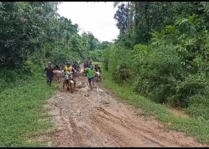 Perbaikan Jalan Desa Tanjung Aur, Herwin Minta Pemkab Kaur Pantau Realisasi Perbaikan dari Dana Inpres