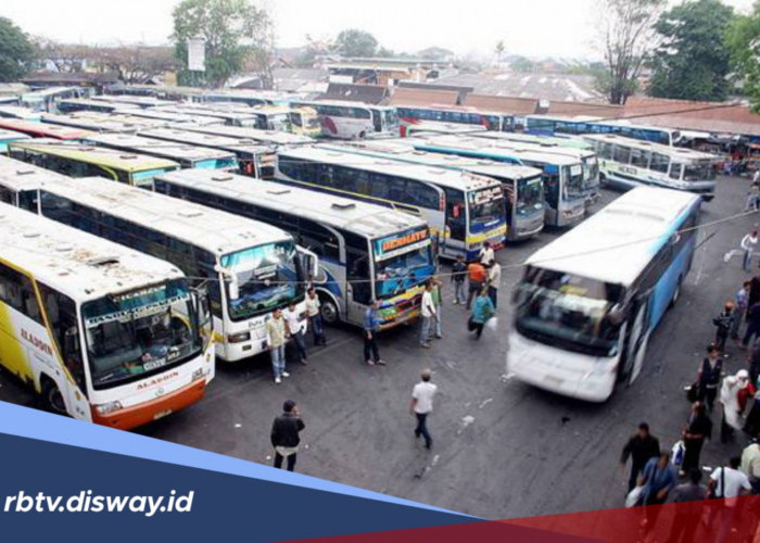 Daftar Harga Tiket Bus Bali-Jakarta Terbaru 2026, Masih Terjangkau?