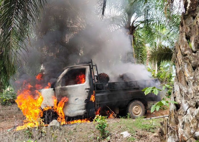 Warga Mukomuko Bakar Gudang dan Mobil Setelah Tangkap Pencuri Sawit, Situasi Memanas