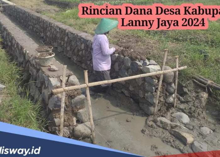 Rincian Dana Desa Kabupaten Lanny Jaya 2024, Desa Mana yang Terima Anggaran Paling Besar?