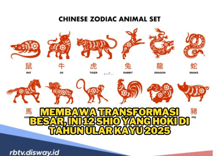 Selamat, Ini 12 Shio yang Hoki di Tahun Ular Kayu 2025, Manfaatkan Peluangnya! 