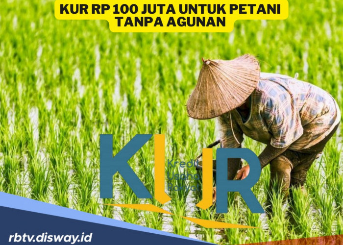 Petani Bisa Pinjam KUR hingga Rp 100 Juta Tanpa Agunan, Ini Syaratnya