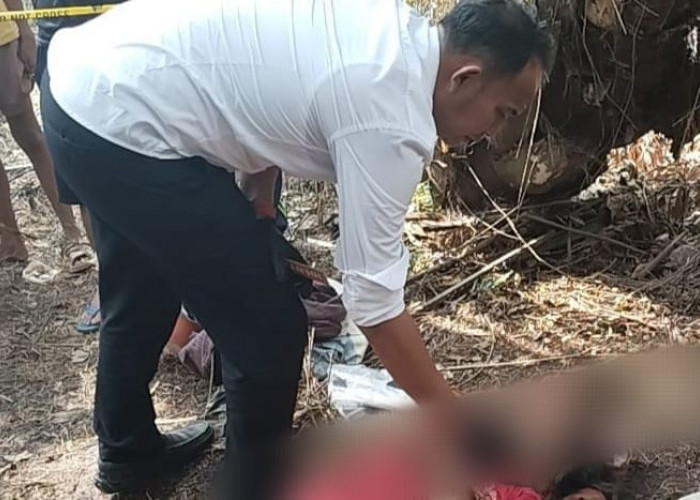 IRT Warga Sidosari Seluma Ditemukan Sudah Tak Bernyawa di Kebun Sawit