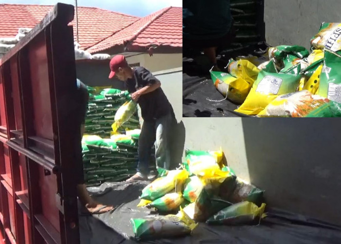 Gabah dan Beras di 2 Kabupaten Ini Tidak Diserap Bulog, Ini Alasannya