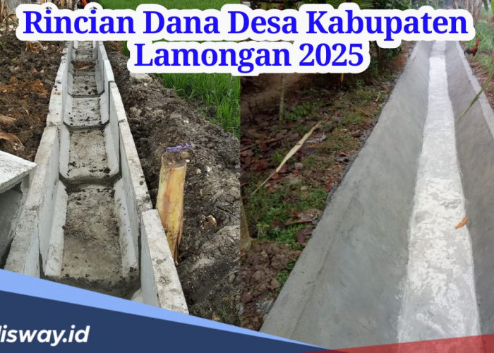 Rincian Kucuran Dana Desa 2025 untuk 462 Desa di Kabupaten Lamogan Jawa Timur