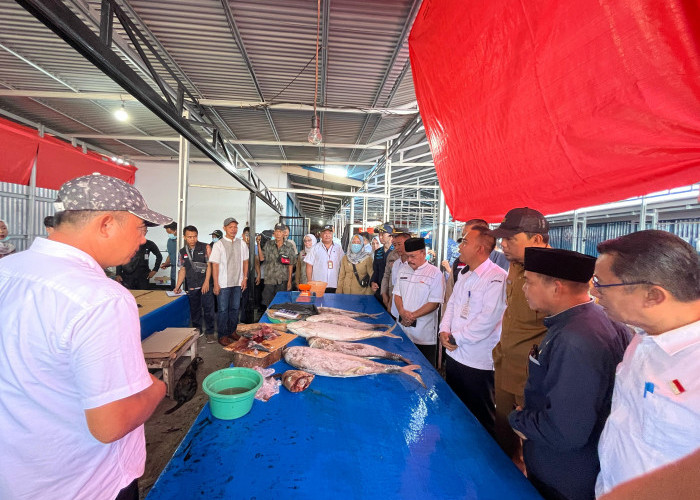 Pastikan Hasil Perikanan Sehat, KPP Lakukan Uji Sampel Ikan di Pasar Panorama