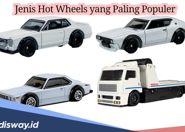 Jenis Hot Wheels yang Paling Populer, Tertarik Jadi Reseller? Begini Caranya