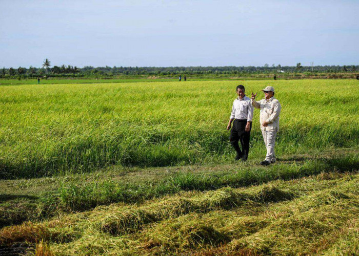 Surganya Pertanian, Ini Lokasi Harta Karun di Papua Selatan